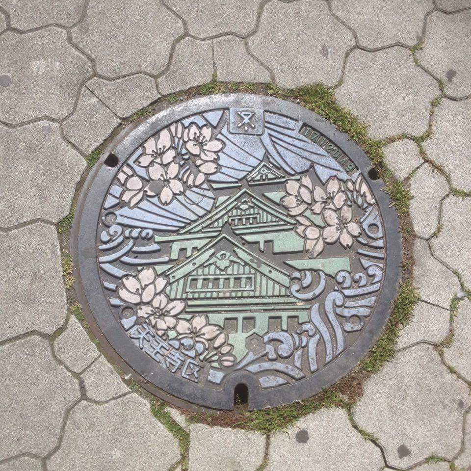 Drain cover