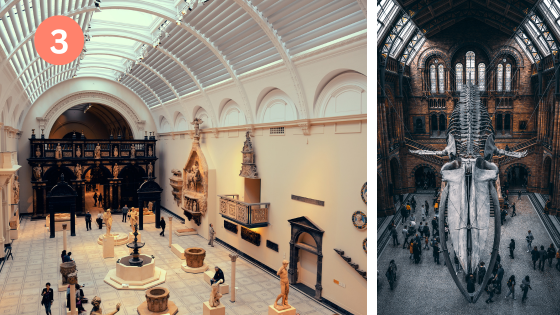 3 Natural History Museum