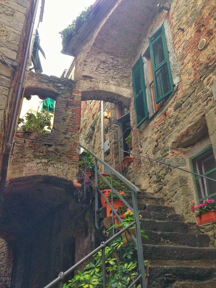 maze of windy paths at the cinque terre