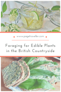 Foraging for Edible Plants in the British Countryside