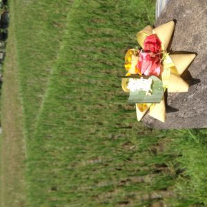 Two Weeks in Bali