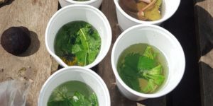 Spring Foraging in the UK - Nettle tea