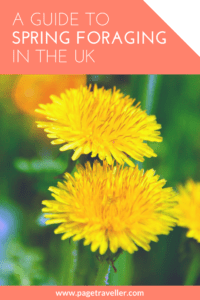 Spring Foraging in the UK