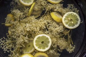 elderflower cordial