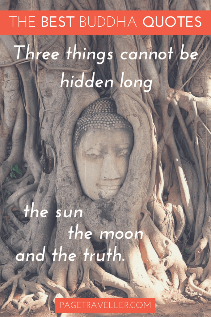 Buddha Quote Truth - Tree Face