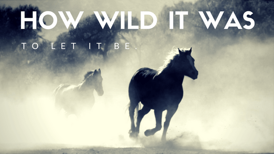 quotes from wild by cheryl strayed