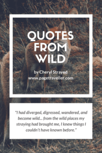 quotes from wild cheryl strayed wander stray