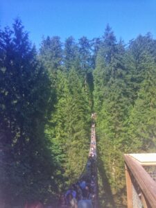 Capilano Suspension Bridge Park
