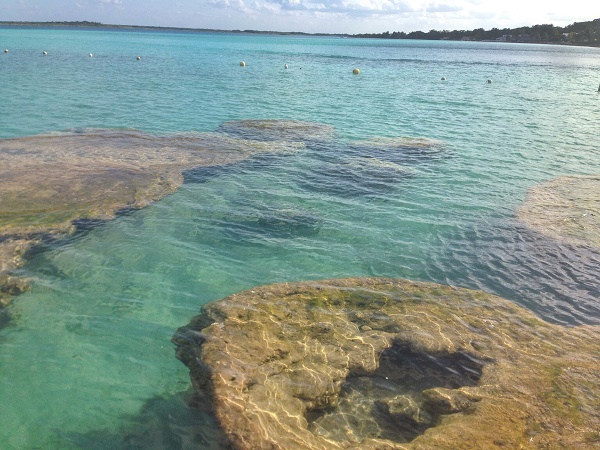Cocalitos at Lake Bacalar, Yucatan, Mexico
