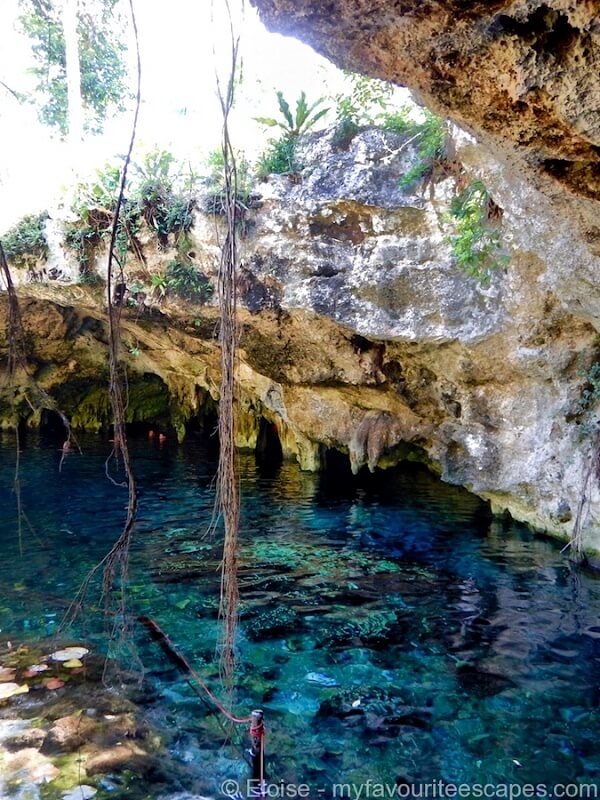 Gran Cenote in Tulum, Yucatan, Mexico