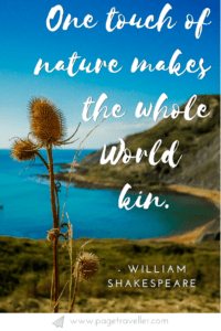 One touch of nature makes the whole world kin - William Shakespeare quote from Troilus and Cressida