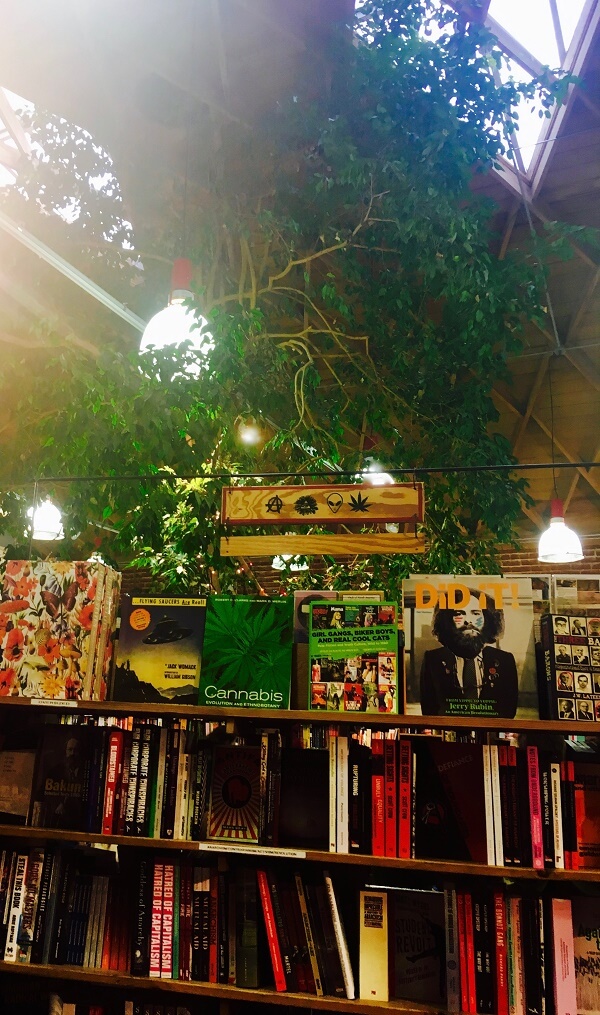 Skylight Used Bookstore in Los Angeles