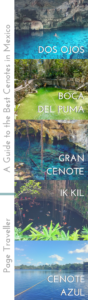 The Best Cenotes in Mexico