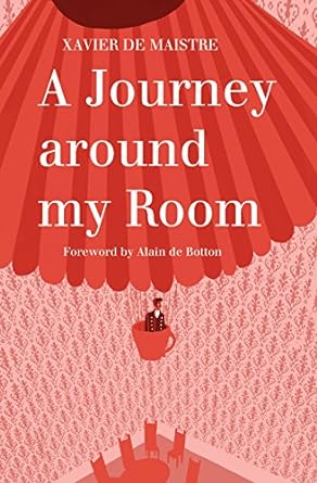 journey around my room book cover