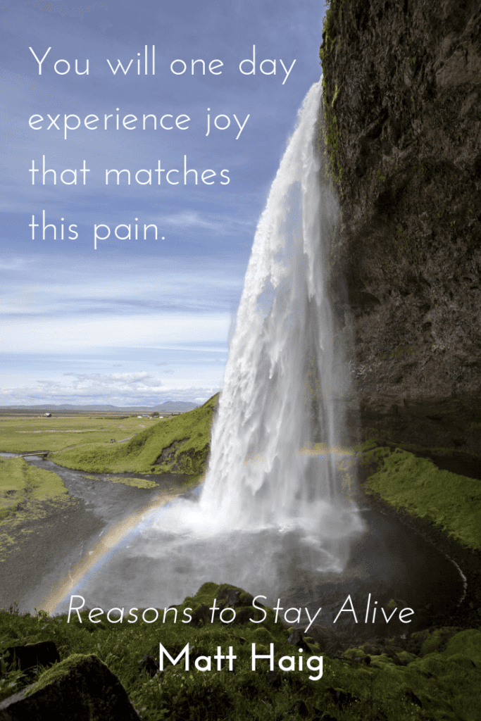 Reasons to Stay Alive by Matt Haig quote about mental health - joy and pain