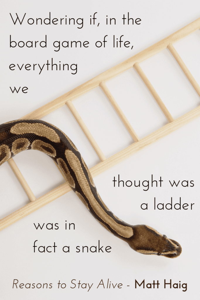 Reasons to Stay Alive by Matt Haig quote about mental health - snakes and ladders