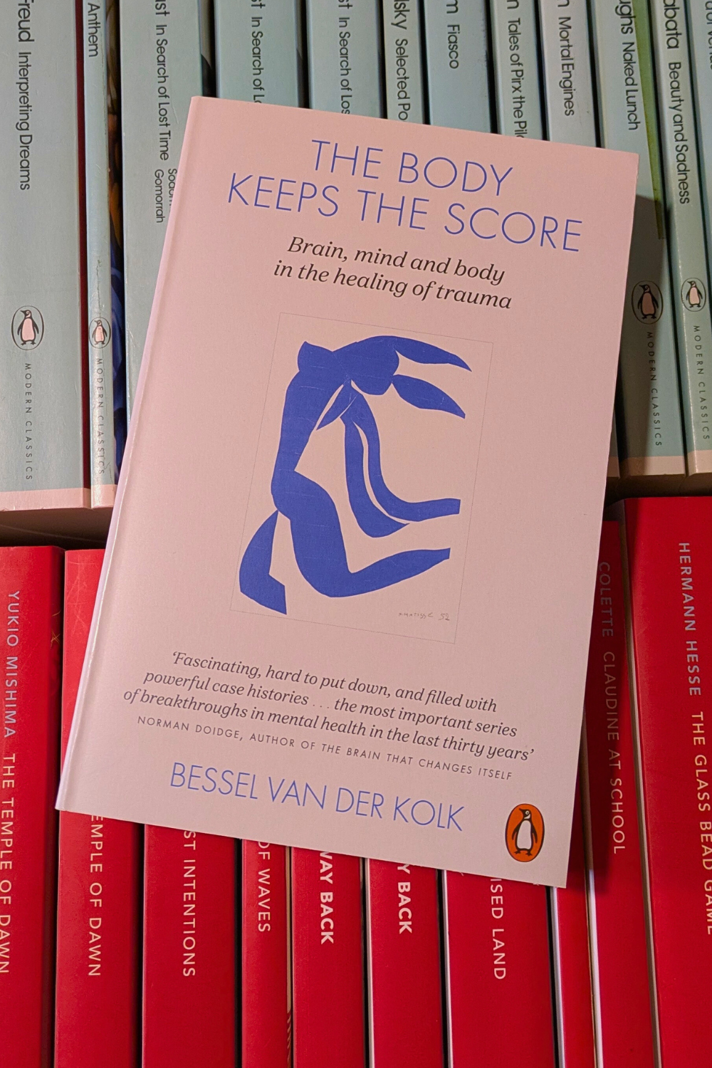 the body keeps the score