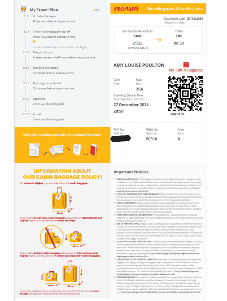 Pegasus boarding pass