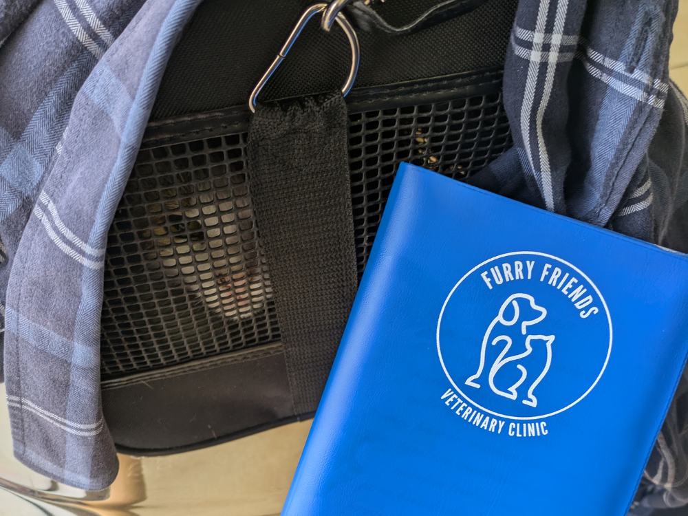 tips for travelling with a cat