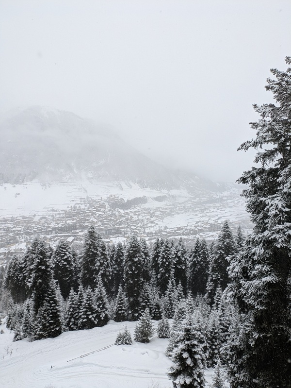 mestia in the snow