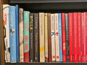 books about kosovo