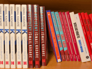 ismail kadare books on albania