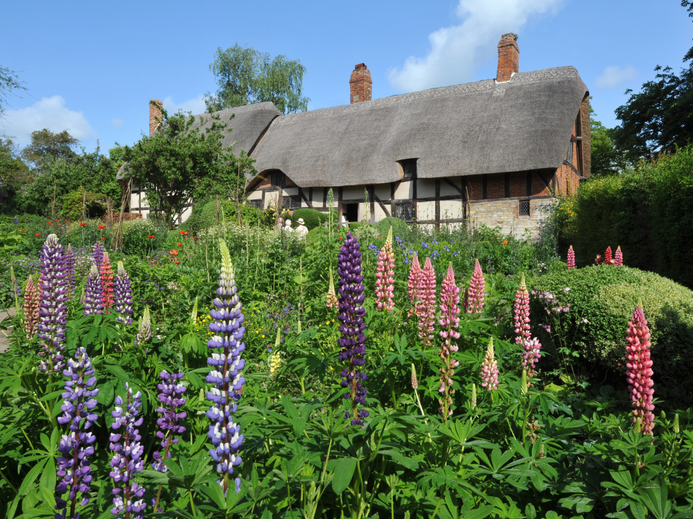 anne hathaway's cottage in Stratford-upon-Avon